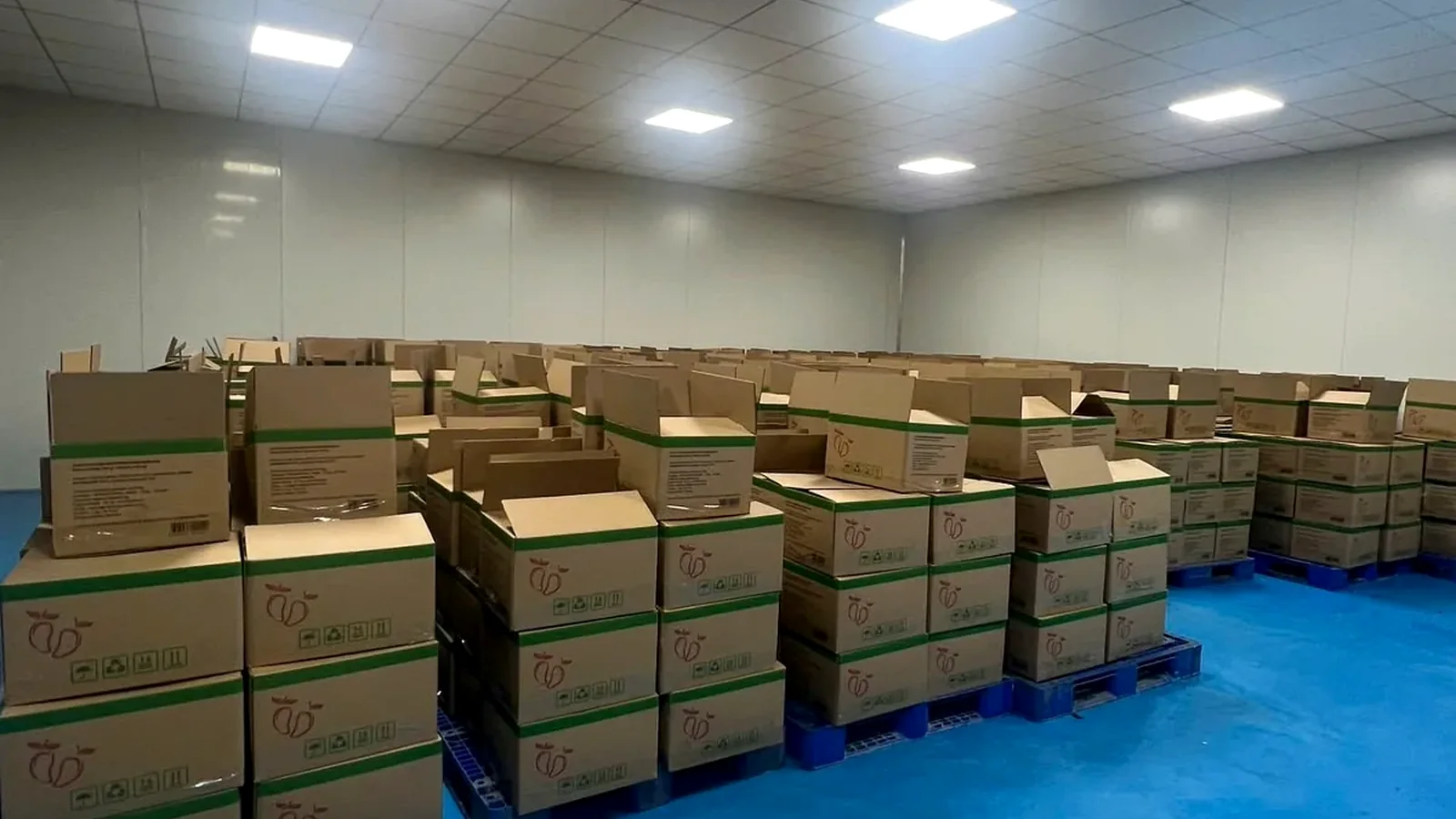 Warehouse and loading area for export preparation