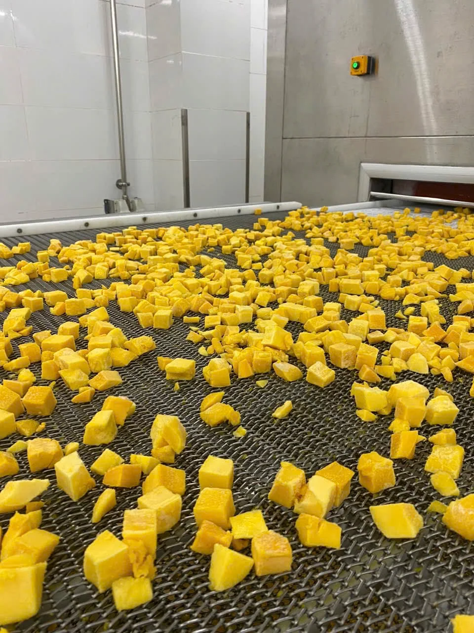 Pineapple pieces on the processing conveyor